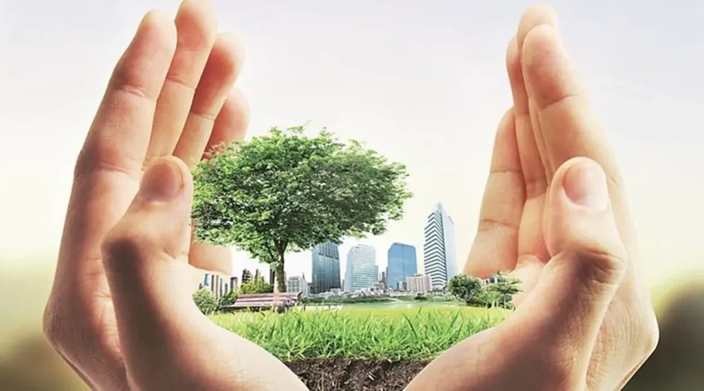 DY Infra and Projects